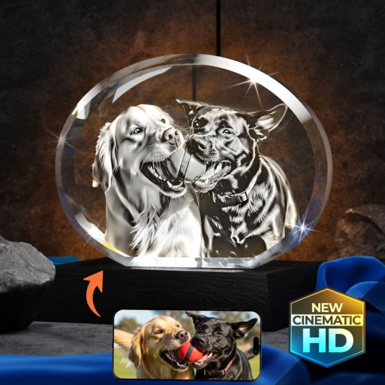 3D Crystal Oval 3D Crystal Oval