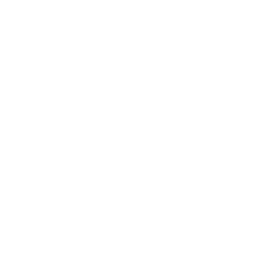 3D Crystal Large Cat 