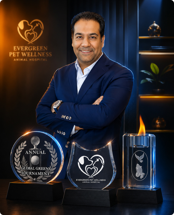 Why Choose 3DCrystal for Corporate Awards