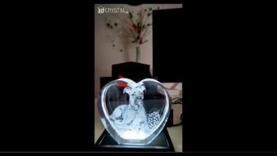 Perfect Gift